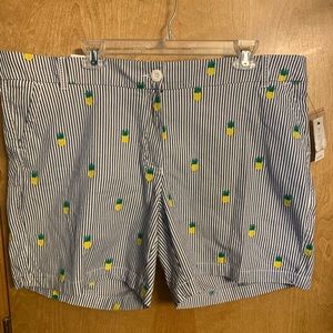 Crown & Ivy Seersucker Shorts size 16W